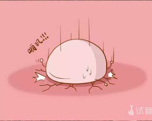 女人的精神氮泵是什么_积木！积木！