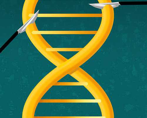 香港验血多久可以做_香港抽血查男女哪里好,验血查男女哪个诊所准