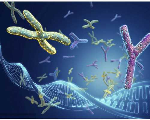 计量泵的工作原理是_纪念中国画学研究会成立100周年主题活动12月5日在刘凌沧