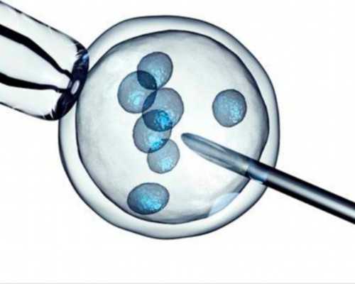 香港 孕妇 验血_怀孕几周香港可以查男女,验血有翻盘的可能吗