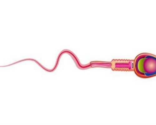 怀孕香港验血合法吗_香港验血乐清中介_怀孕在香港哪里验血好!