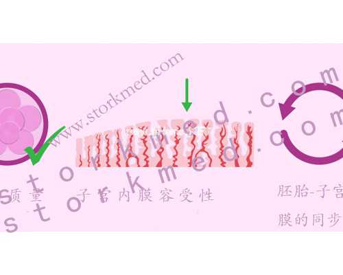 香港验血一般怎么邮寄_自己可以直接去香港验血吗_验血要怀孕多少周才可以去