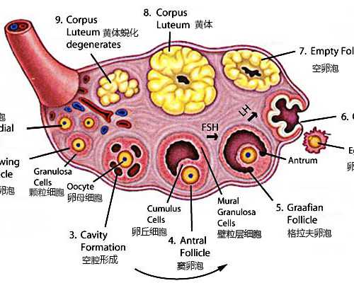 香港明爱诊所能验血吗_2026香港验血价格,谁帮忙科普一下!