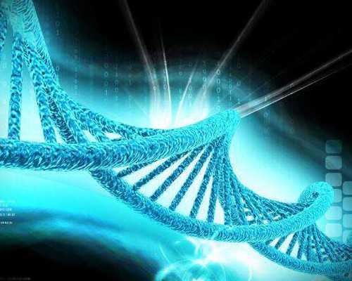 香港验血周末能出结果吗_香港胎儿性别鉴定机构,胎儿鉴定详细流程是怎样的