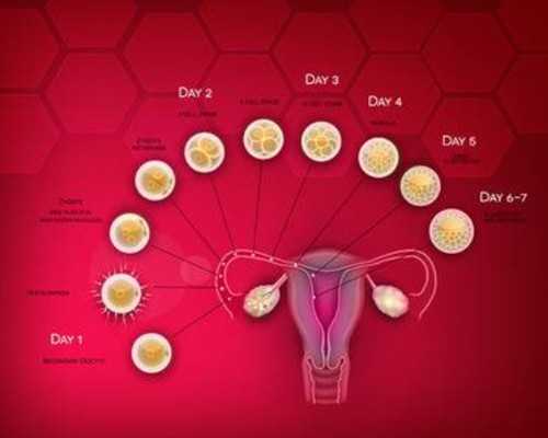 香港验血检测男女机构有哪些_央视二套曝光香港验血_验血准不准一般多少钱