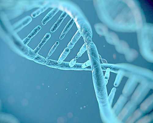 怀孕香港验血晚上抽血可以吗_寄血去香港验血可信吗?几周可以验?