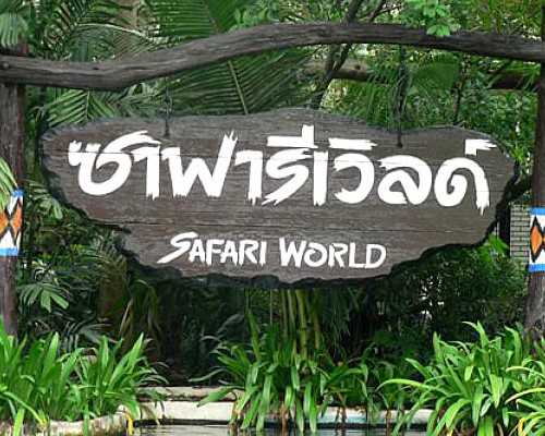 香港9周验血准吗_去香港验血生男女需要满足什么条件_哪个机构最权威