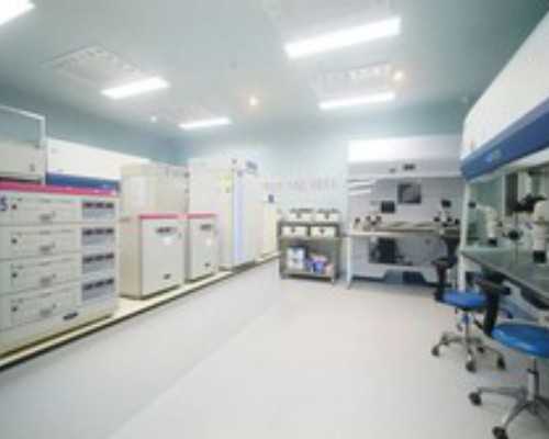 化工流程泵选型_莫斯科企图成为下一个世界艺术中心