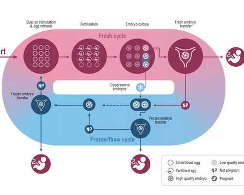 香港诚康医疗中心验血怎么样_香港验血有误_真实经历,希望可以帮到你