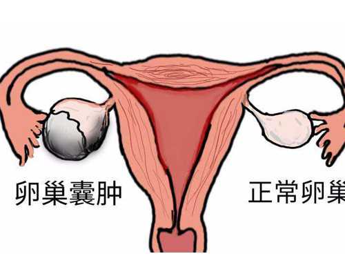香港验血测胎儿性别几天知道结果_7周亲自去香港验血准吗,验血是女孩,能翻盘