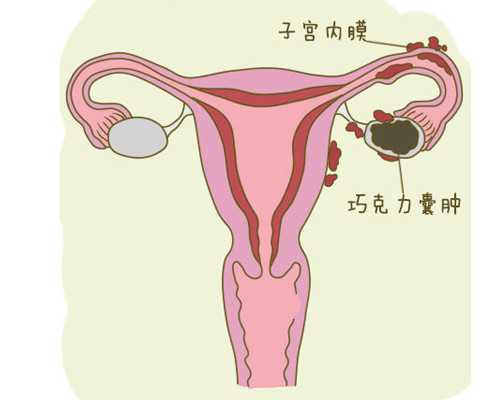 香港玛西验血结果未测出y_香港测男女总共需要多少钱？真相既然人人都知晓