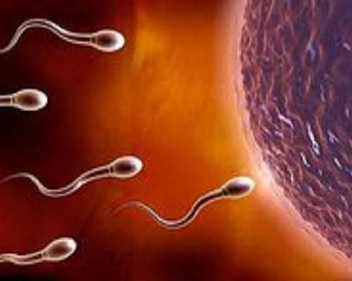 香港验血邮寄百世快递可以吗_香港验血男女下午出结果紧张_dna胎儿性别准确率