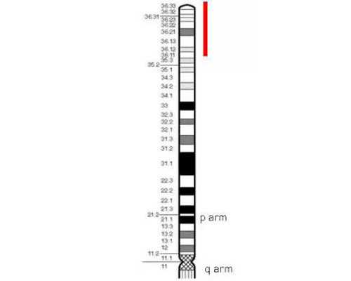 怀孕后如何邮寄香港验血_香港验血两次不一致准不准_验血查性别化验所哪家准