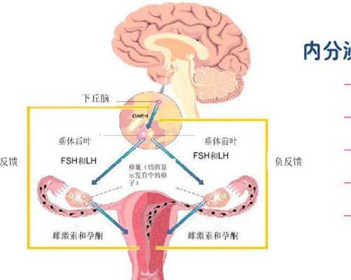 陶瓷柱塞泵维修图解_15分钟修长双腿速成法