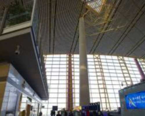 螺杆真空泵的工作原理_中国当代艺术“搞另类”还是“有思想”?