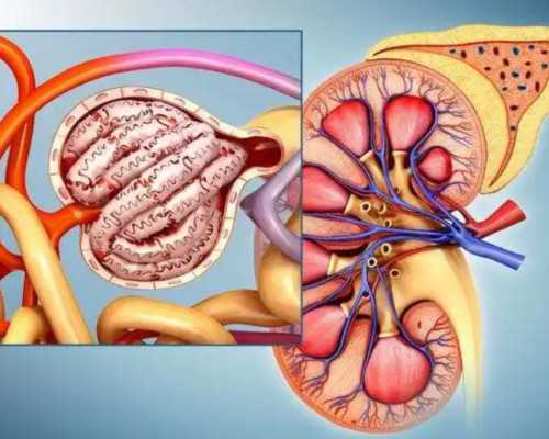 香港验血结果几天出结果_有在香港佐嘉验血的宝妈吗_验血查男女会不会翻盘