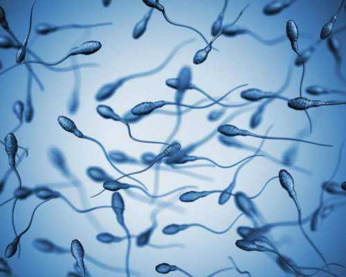 香港验血官网能查到报告有假的吗_香港查男女疒约柏新医疗,验血翻盘女翻男吗