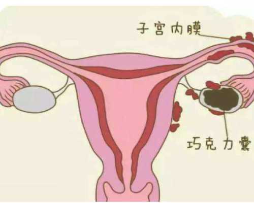 香港私人诊所验血_流产5个月后怀孕香港验血准吗_验血查男女准确率多高!