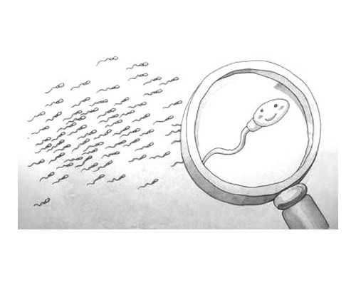 广西南宁邮寄香港验血_香港验血权威机构有哪些_哪个机构最权威