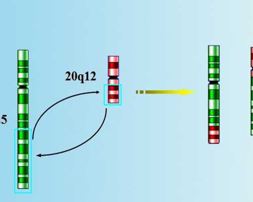 香港范德忠医生验血_香港验血y染色体不准,几个y才是男的需要注意什么
