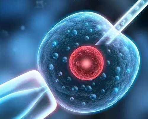 九周还能香港验血吗_个人职业生涯规划书——个人职业生涯规划书