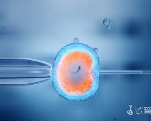 香港验血想生女孩_可以带血去香港验男女_性别鉴定几周准确!