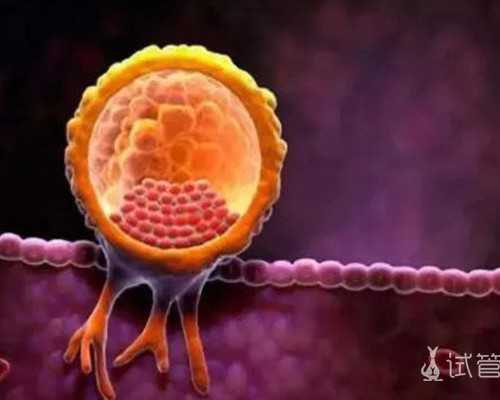 香港孕妇验血彩超_香港验血宝宝性别_7周香港验血查男女准不!