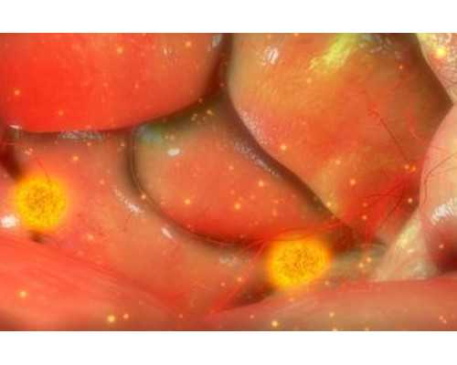 想邮寄香港验血怎么办_查血验男女准确率高吗_查男女需要准备什么材料