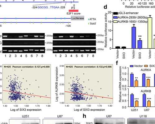 香港验血几周做比超_香港验血有什么会影响成果,验血之旅流程科普