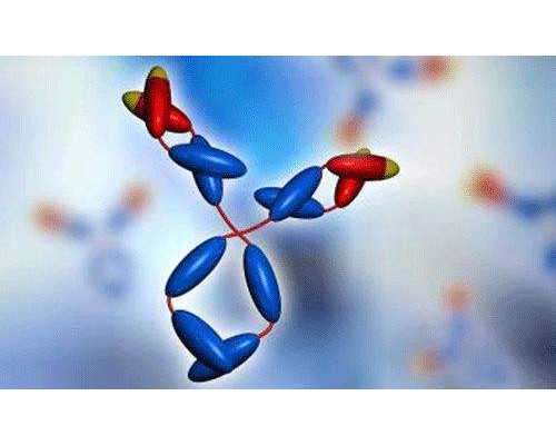 汽泵十大品牌_90幅齐白石真迹将来湘开展