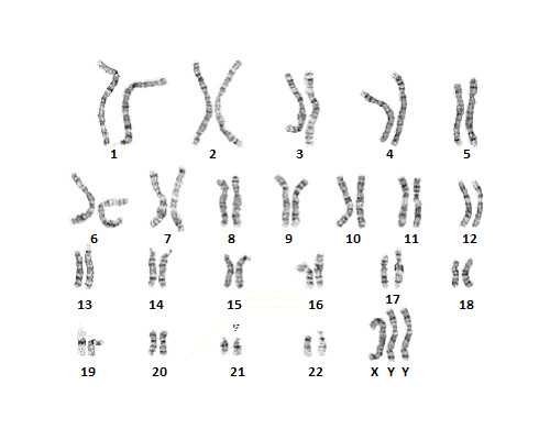 精神氮泵是什么意思啊_365件手机摄影作品亮相北京国际摄影周