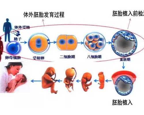 香港验血地址电话_在香港怀孕了怎么查男女_dna胎儿性别真会翻盘吗!