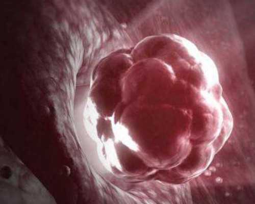 怀孕送香港验血需几天_dna验血亲子鉴定_验血查男女真的靠谱吗