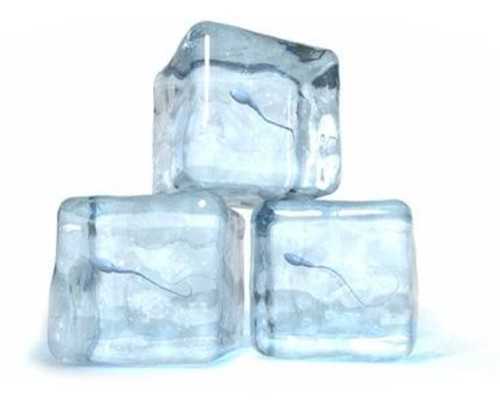 香港验血机构对比_怀孕多少天送血去香港查男女_验血和B超都是男孩,还会翻盘