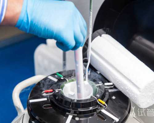 气动浆料泵_靠墙竖腿能瘦腿吗