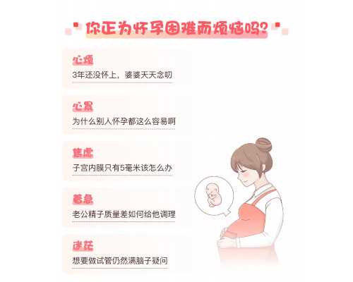 计量泵工作原理动画_博物馆涉足商业活动 保守还是滥用