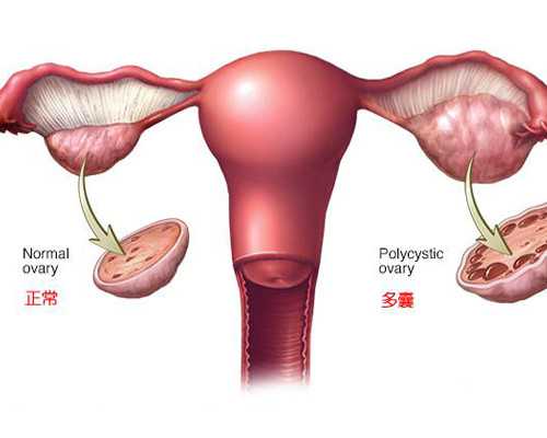 香港验血需要多久_香港验血可以查出未出生宝宝血型吗_验血查男女真会翻盘吗