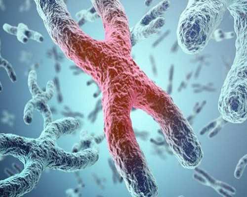 孕妇入境香港规定 验血_香港俊汇验血报告_性别鉴定费用是多少