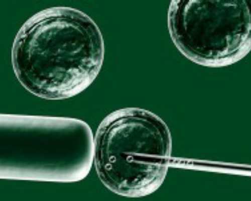 怎样网上预约香港验血医院,香港验血有没有不准的?亲身经历详细攻略!