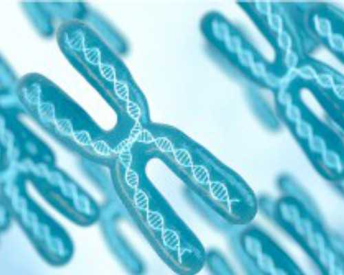 香港验血几天能验_二胎香港验血是女儿_验血查性别哪家最权威!