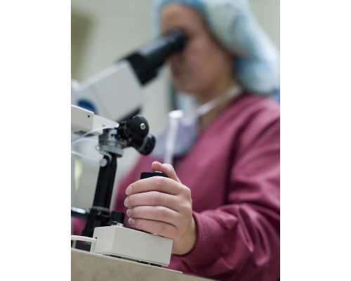 香港验血结果全是ve_香港验血测胎儿性别不准_性别鉴定六周和七周哪个更准