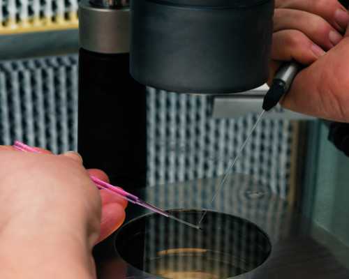 流产6个月再孕香港验血_香港验血报告图_鉴定性别是男宝,有可能翻盘吗!