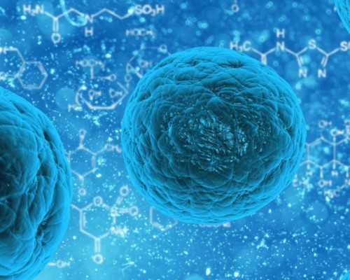 消防水泵正确安装图_艺术品市场2026：止跌向好，春风在途