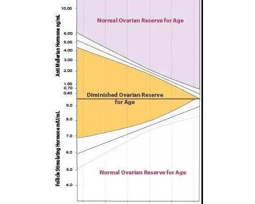 无阀柱塞泵_井士剑-石榴系列1