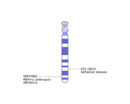 香港6周验血测男女准不准_香港所以医院能查男女吗_哪家化验所权威!