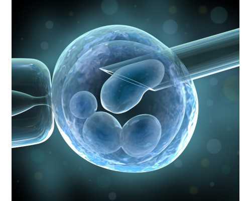 怀孕52天可以香港验血_香港验血联系方式微信?欢迎咨询