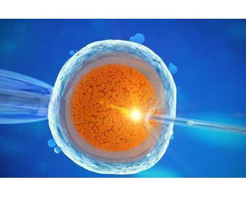 献血过后到香港验血准嘛_香港验血测胎儿性别翻盘_鉴定性别会翻盘吗