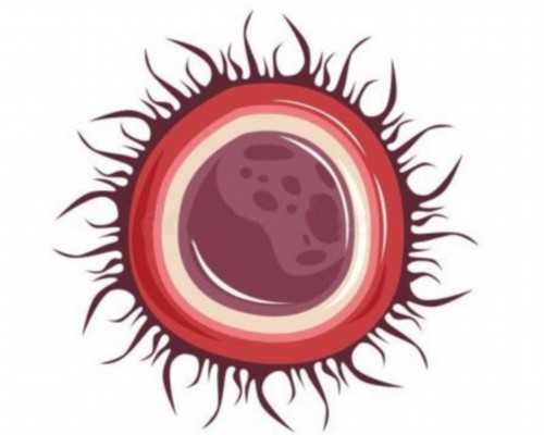 分子泵原理图_银翘片和氨咖黄敏胶囊可以一起吃吗