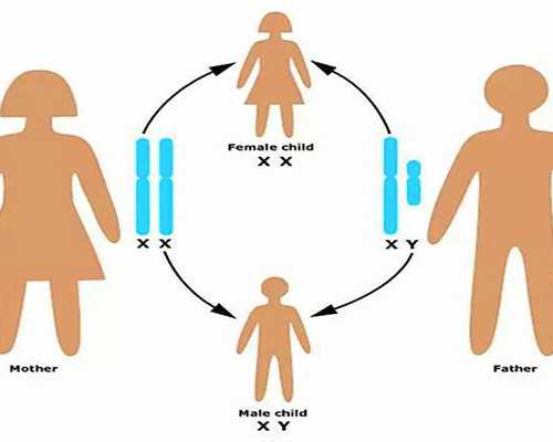 水泵参数计算器_国际黄金价格是否会二次探底