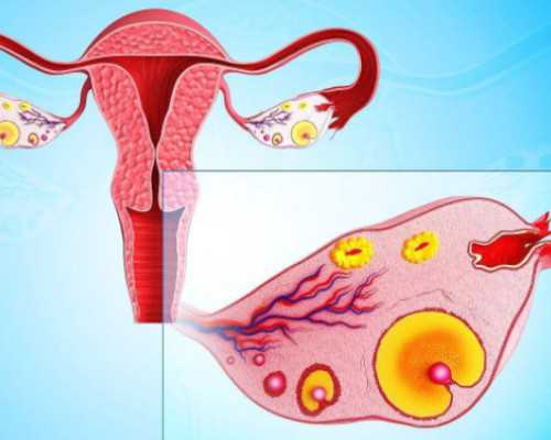 香港验血快递可以吗_香港查男女深圳中介_验血准不准一般多少钱!